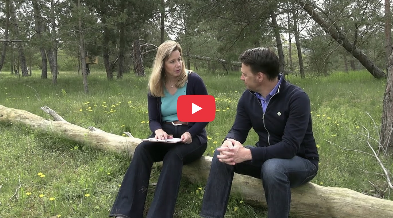 Ganzheitlicher Coach I Coaching berufliche Neuorientierung